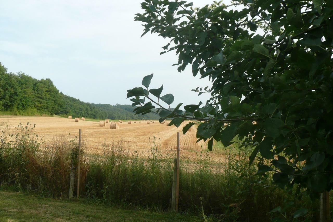 Domaine Serrot Saint-Elix-Theux Exterior foto